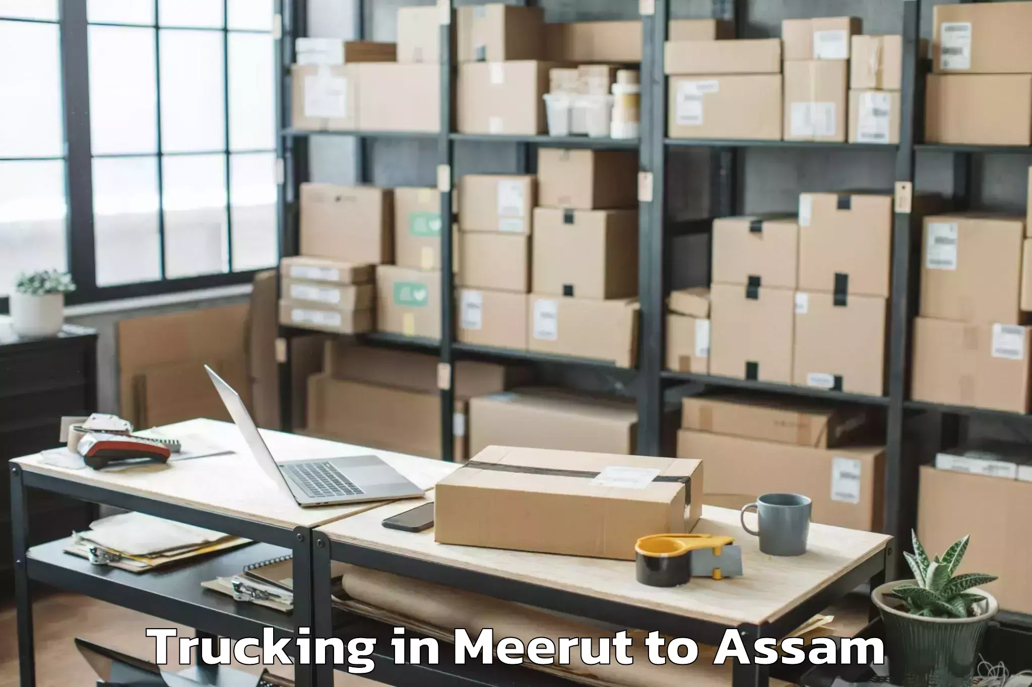 Easy Meerut to Assam University Silchar Trucking Booking